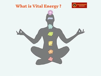 What is Vital Energy-?