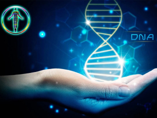 DNA Reading And Clearing